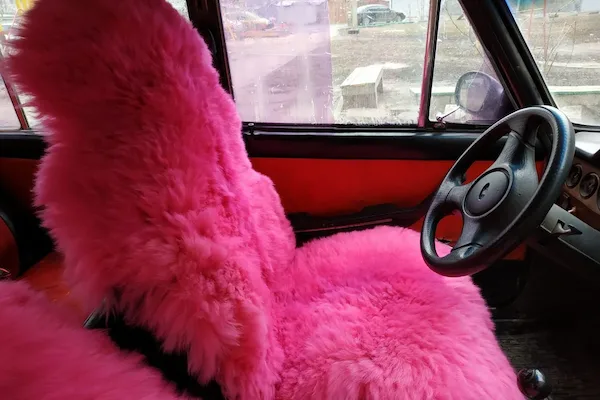 Pink Seat Covers Or Cushions