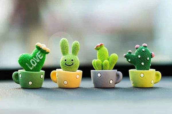 Dashboard Cactus Plant