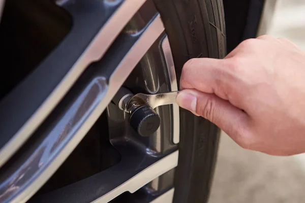 Tire Safety Monitor